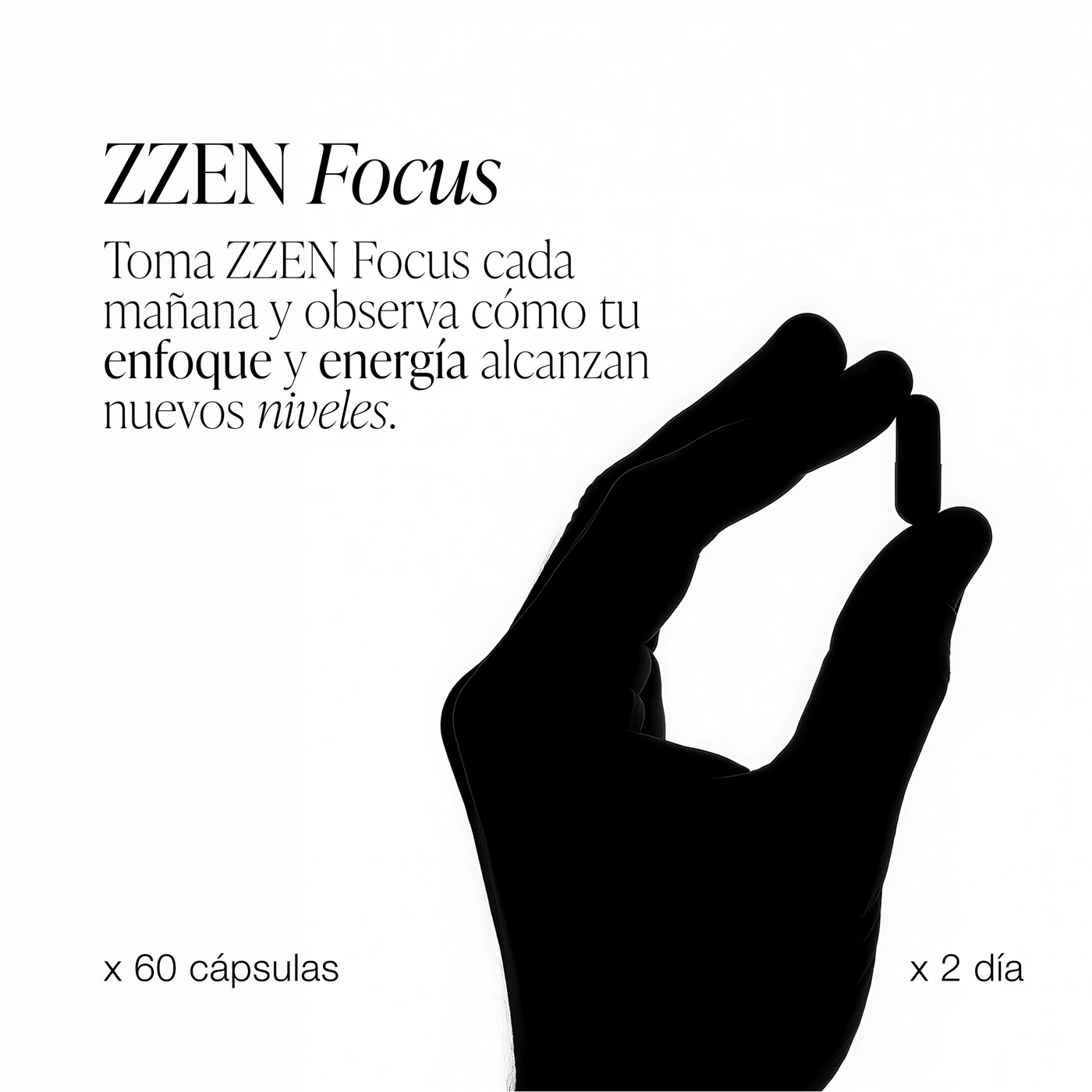 ZENN Focus
