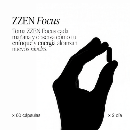 ZENN Focus